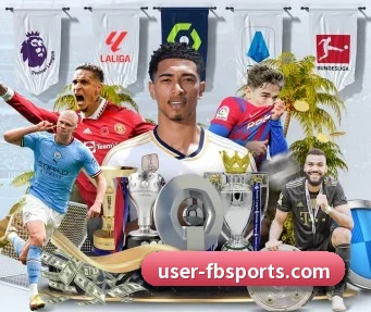 FB体育 APP - fbsport
