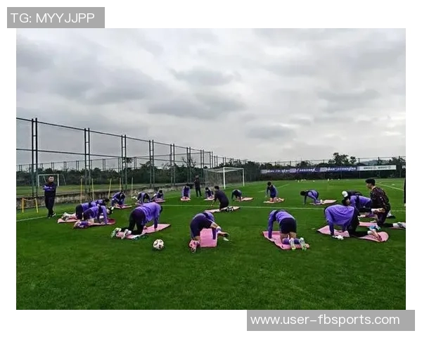 津门虎冬训开启热身赛模式将与首尔FC及泰山B队进行对抗赛 津门虎冬训开启热身赛模式将与首尔FC及泰山B队进行对抗赛